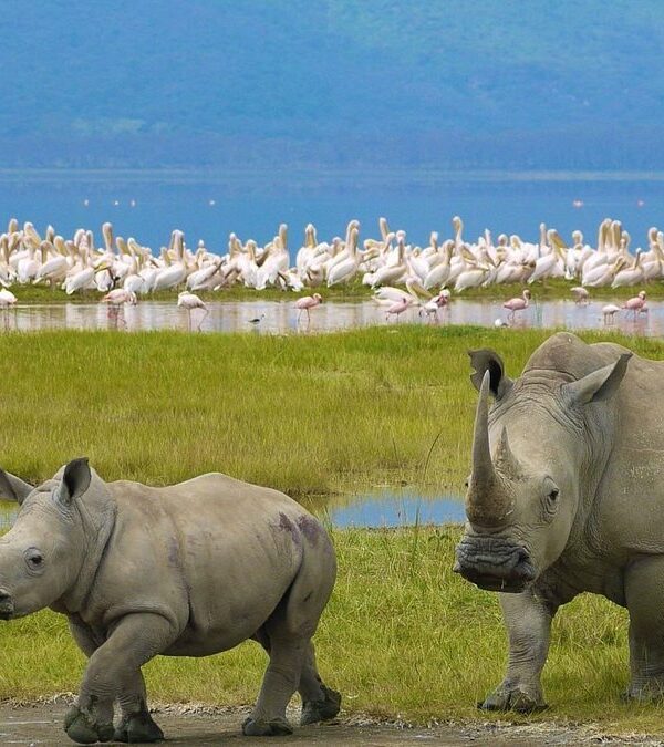 Nakuru National Park