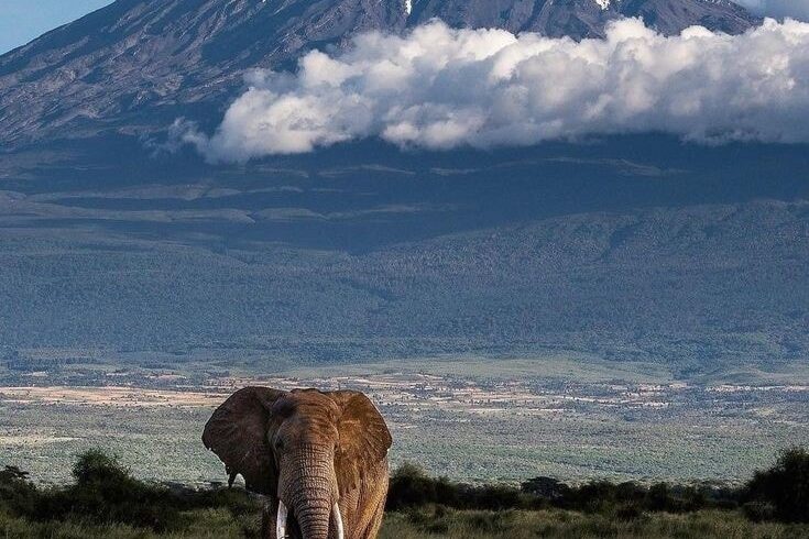 Amboseli KEnya